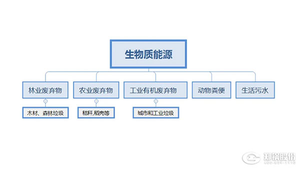 生物质IM体育,生物质能源使用,新机缘